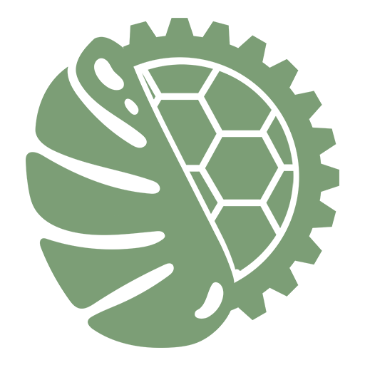 Prozessbegleitung & Beratung